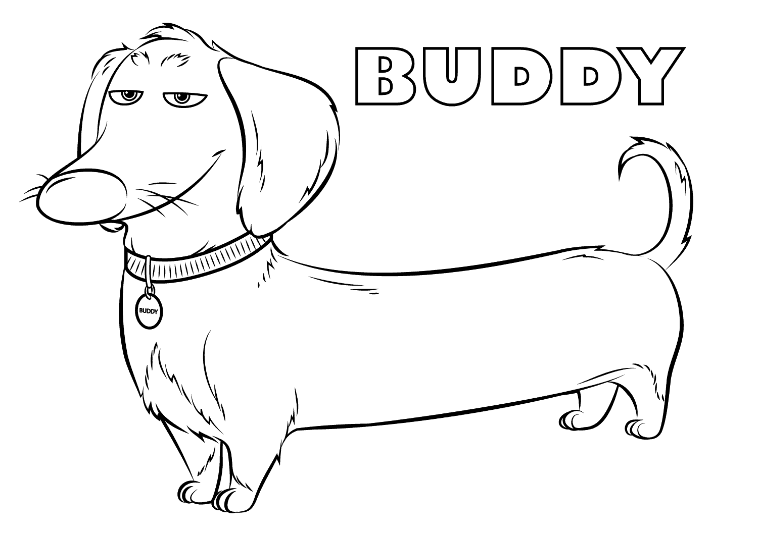 Desenho de Buddy para colorir