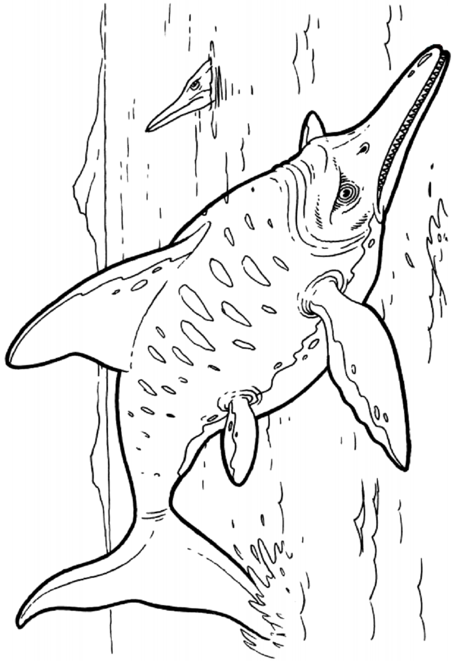 Desenhos de Ichthyosaurus para colorir