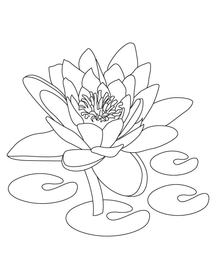 Desenho deFlor de Lotus Simples para colorir