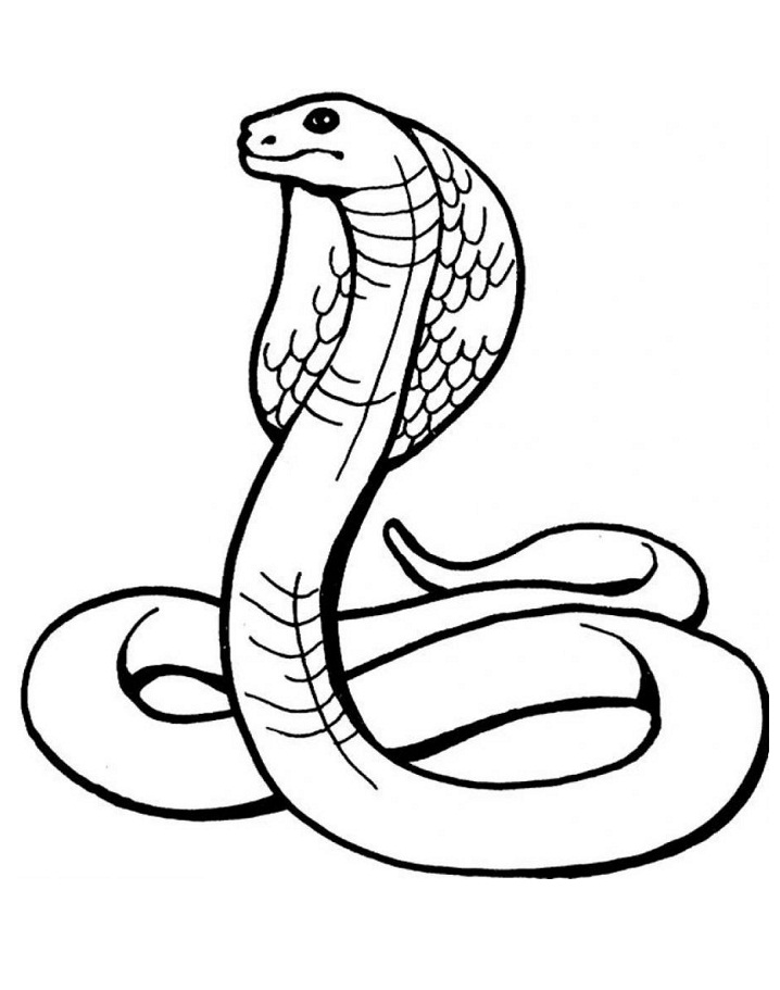 Desenhos de Serpente para colorir