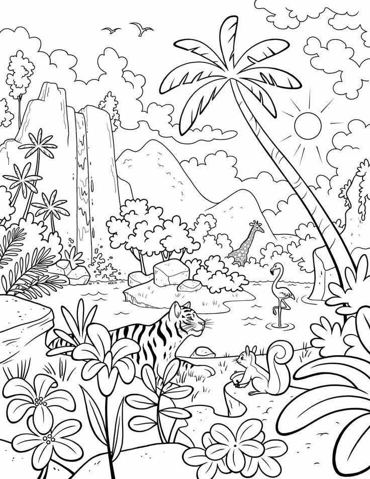 Desenho deAnimais da Cachoeira e Selva para colorir