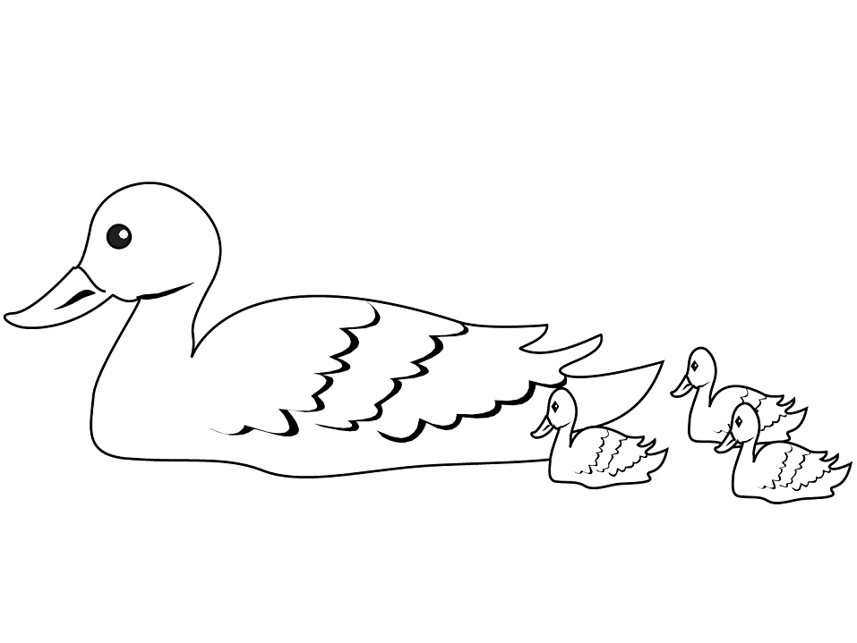 Desenho dePato com Patinhos para colorir