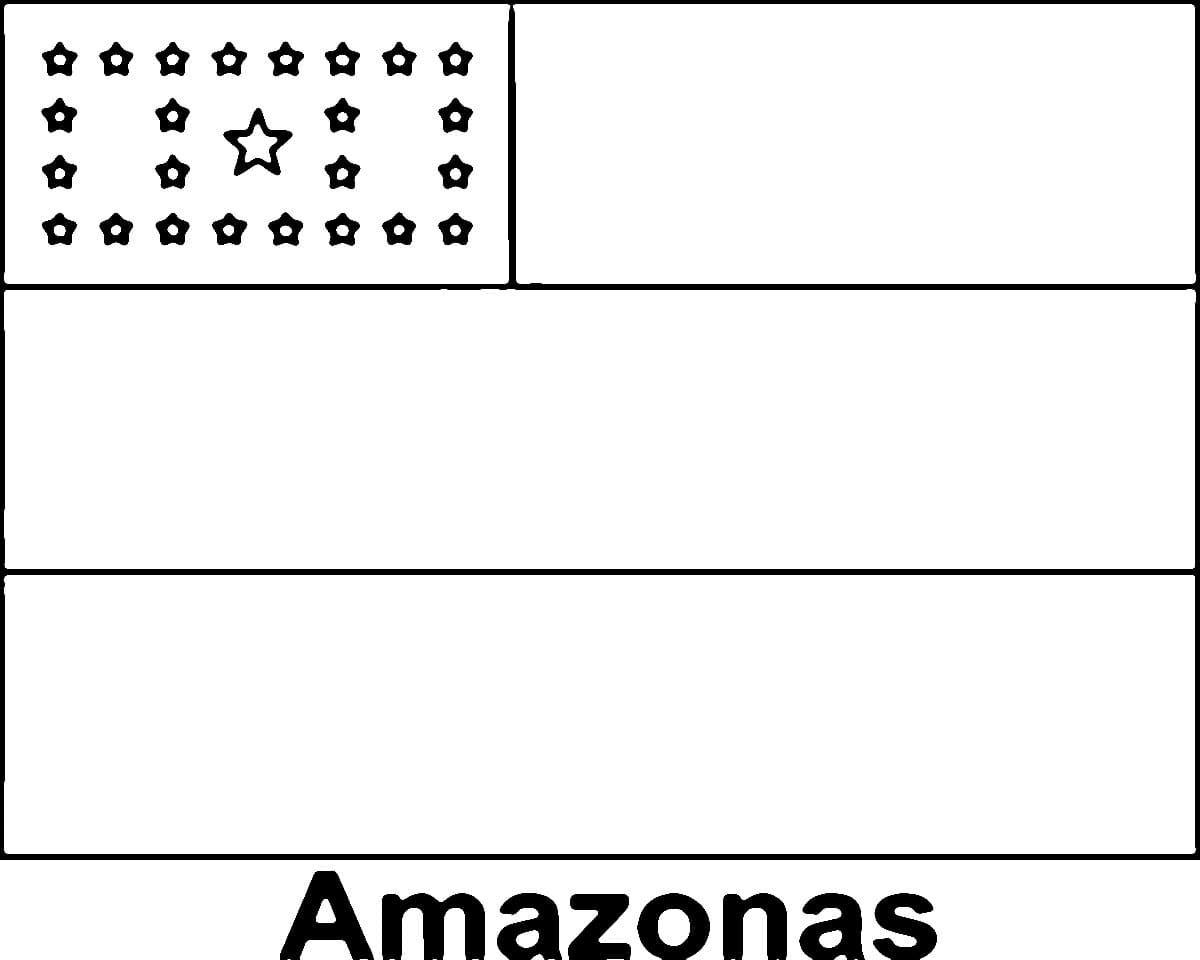 Desenhos de Bandeira do Amazonas para colorir