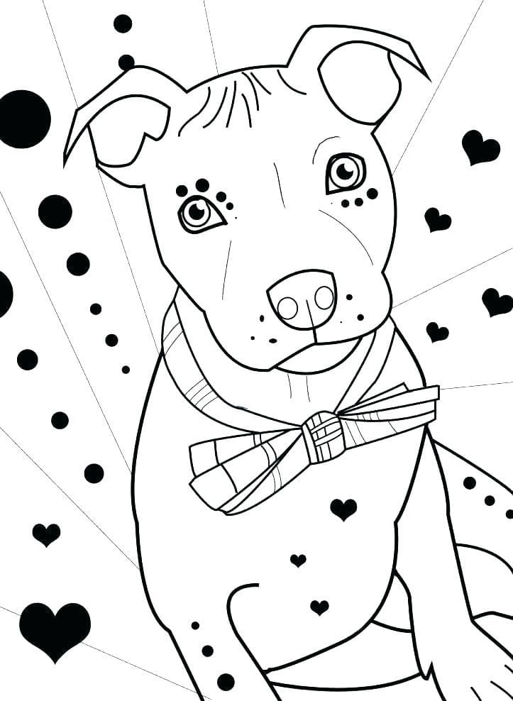 Desenho deAdorável Pitbull para colorir