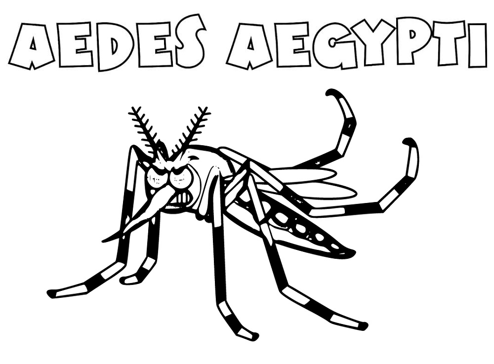 Desenho deAedes Aegypti Bravo para colorir