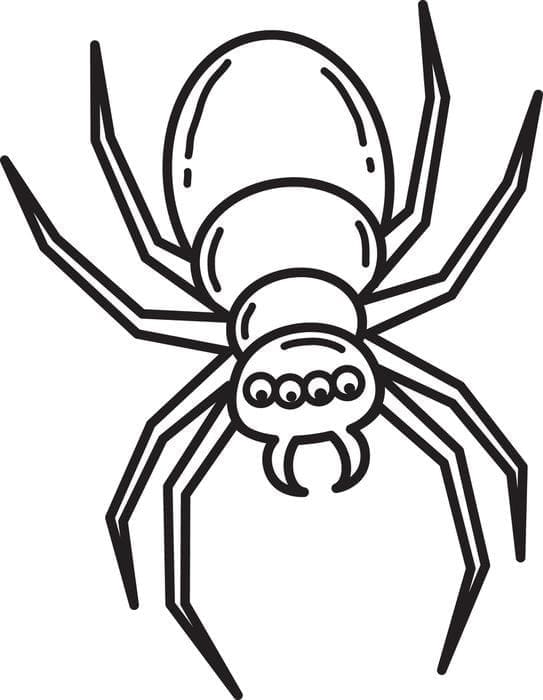 Desenho de Aranha Grátis Para Crianças para colorir