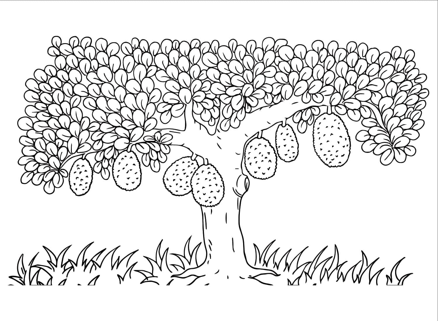 Desenho deÁrvore de Jaca para colorir