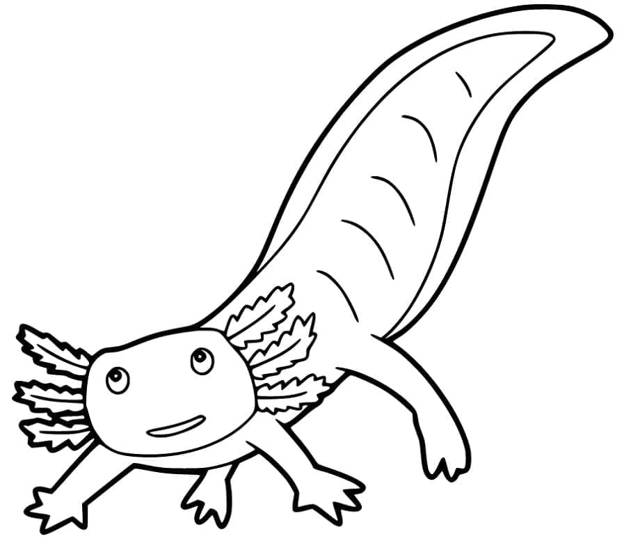 Desenho deAxolote de Desenho Animado para colorir