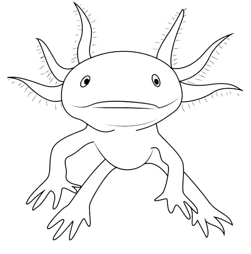 Desenho deAxolote Para Crianças para colorir