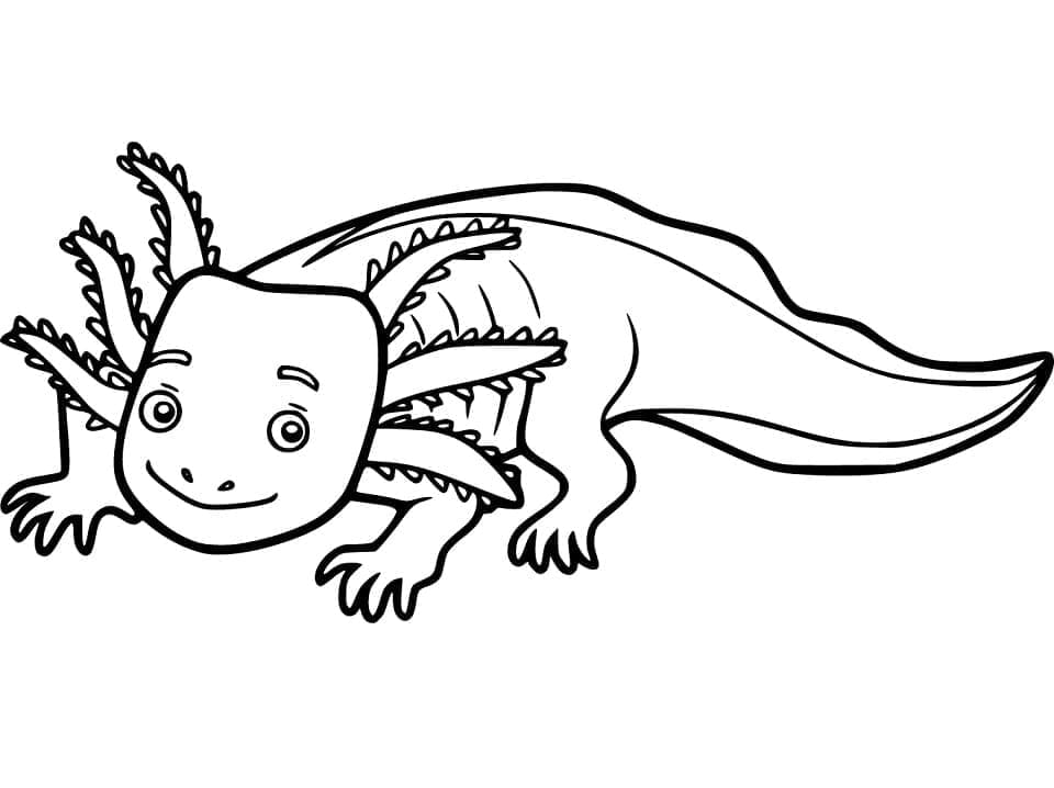 Desenho deAxolote Sorridente para colorir