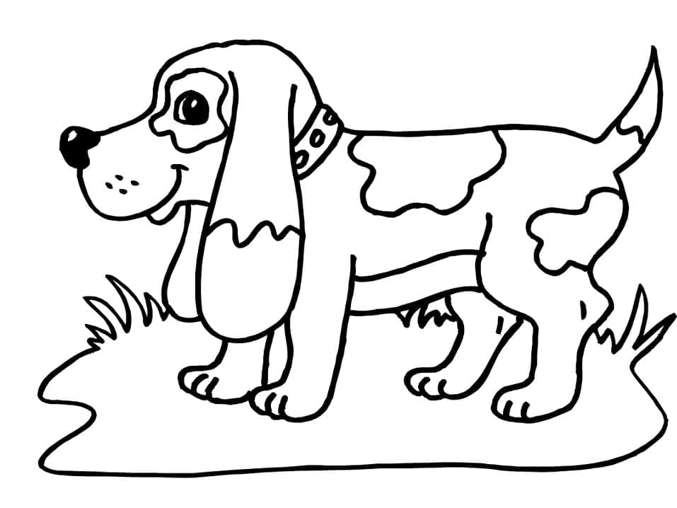 Desenho deBeagle Fofo para colorir