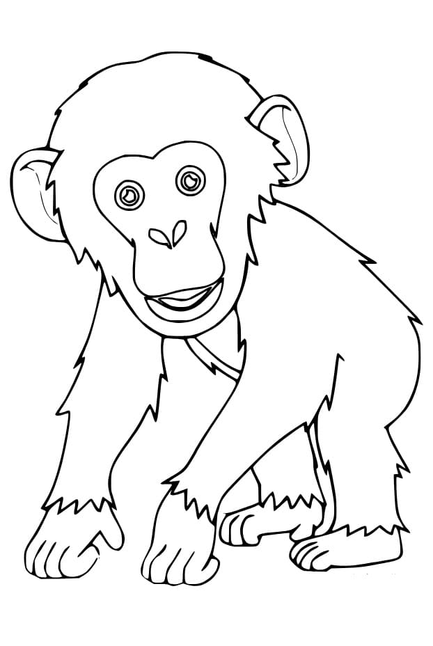 Desenho deBebê Chimpanzé para colorir