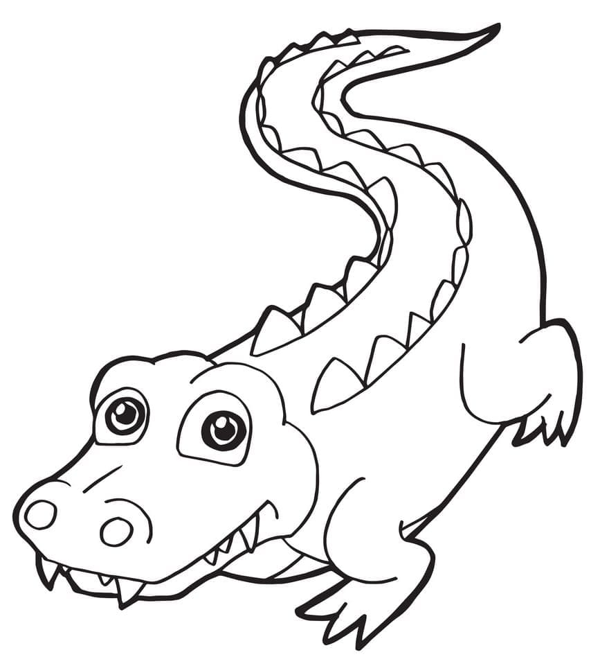 Desenho deBebê Crocodilo para colorir