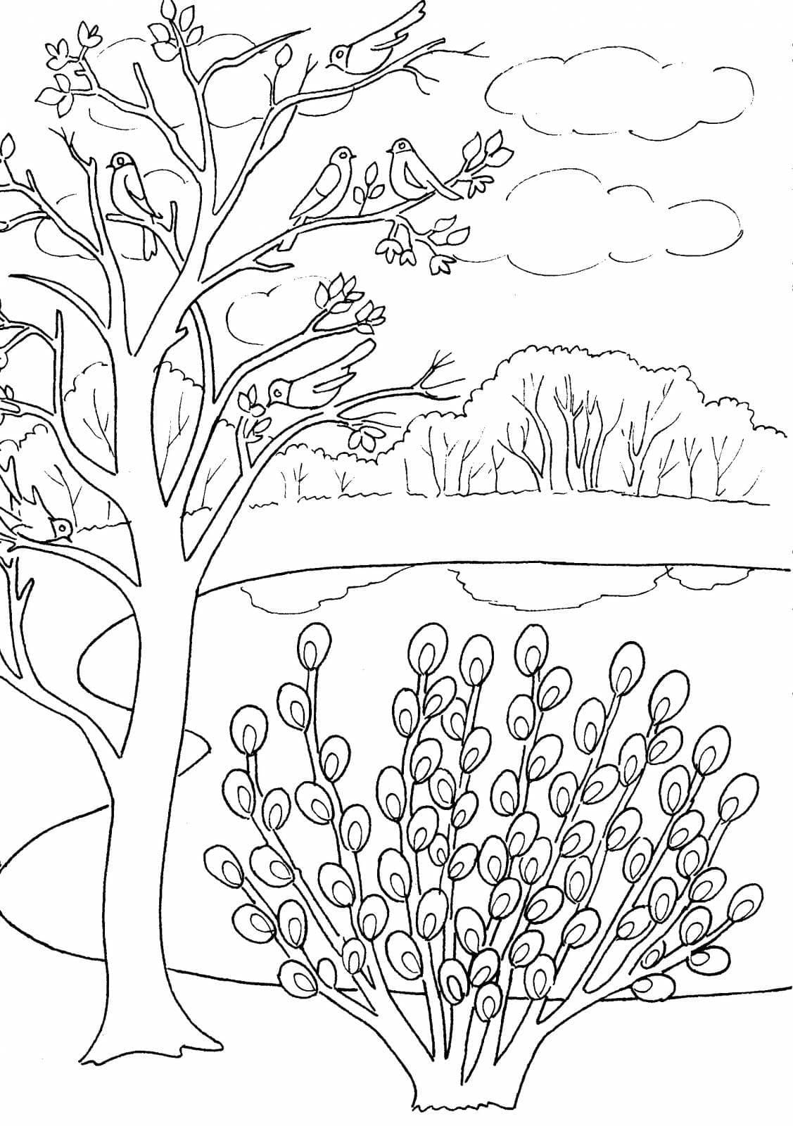 Desenho de Bela Primavera para colorir