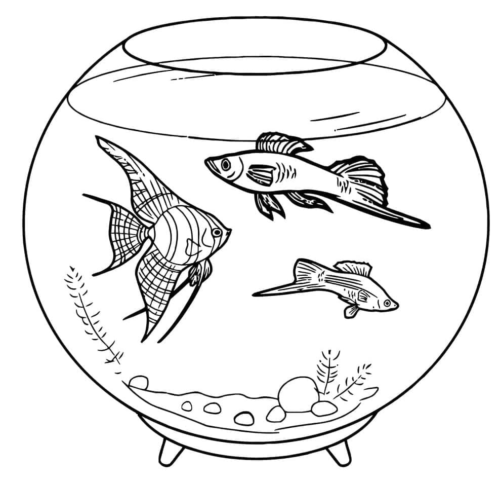 Desenho deBelos Peixes no Aquário para colorir