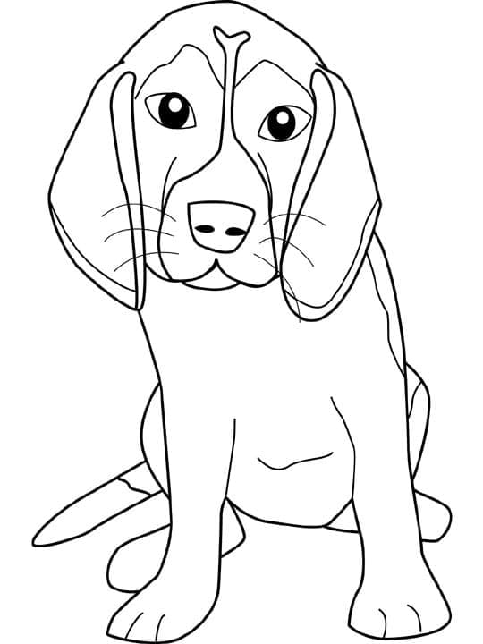 Desenho deBom Cachorro Beagle para colorir