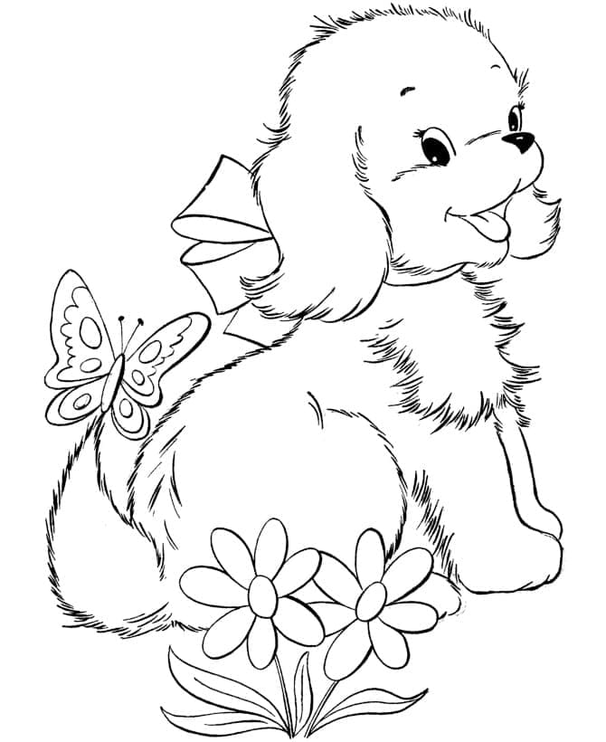 Desenho deBorboleta e Cachorrinho para colorir