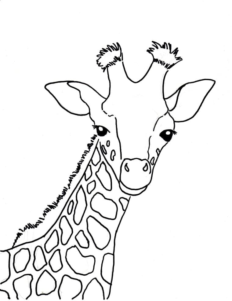 Desenho deCabeça de Girafa para colorir