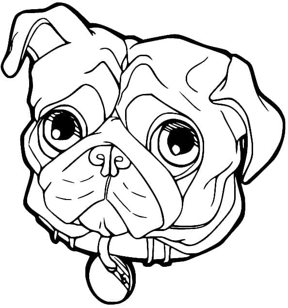 Desenho deCabeça de Pug para colorir