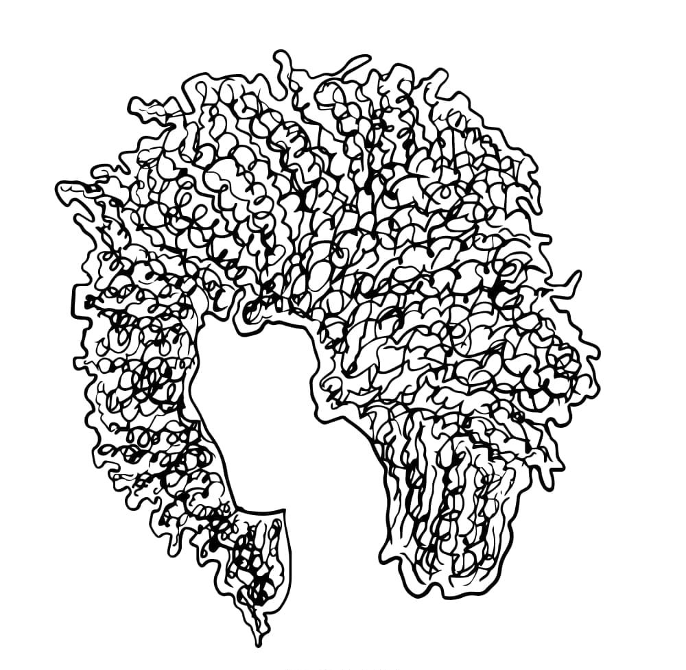 Desenho deCabelo Afro para colorir