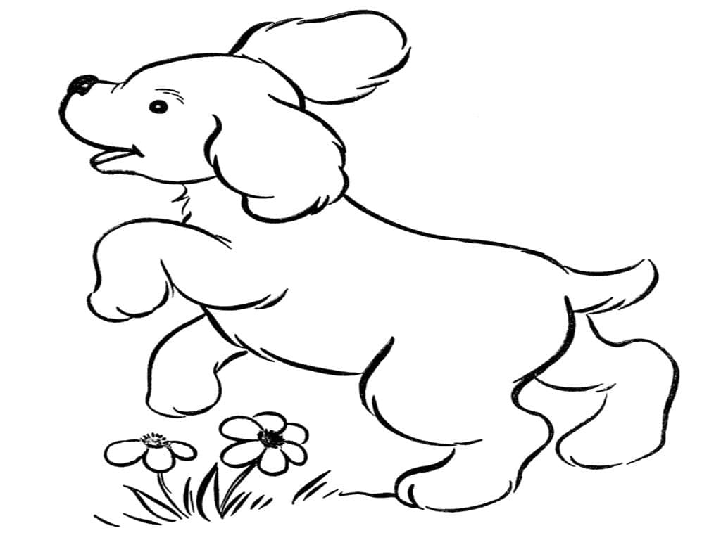 Desenho deCachorrinho 7 para colorir