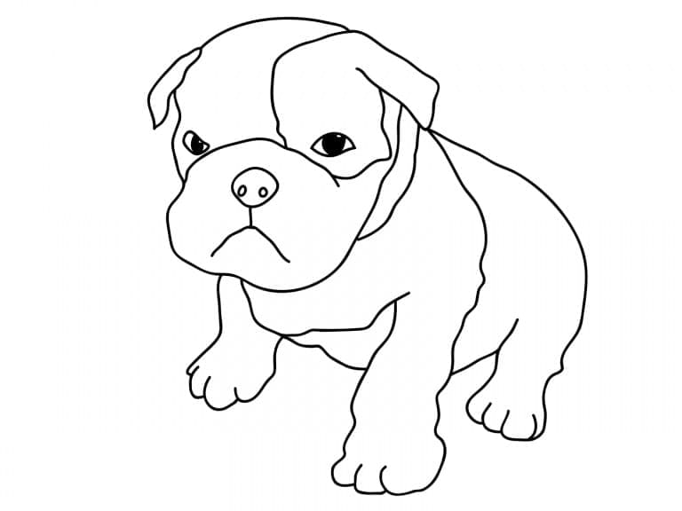 Desenho deCachorrinho Buldogue para colorir