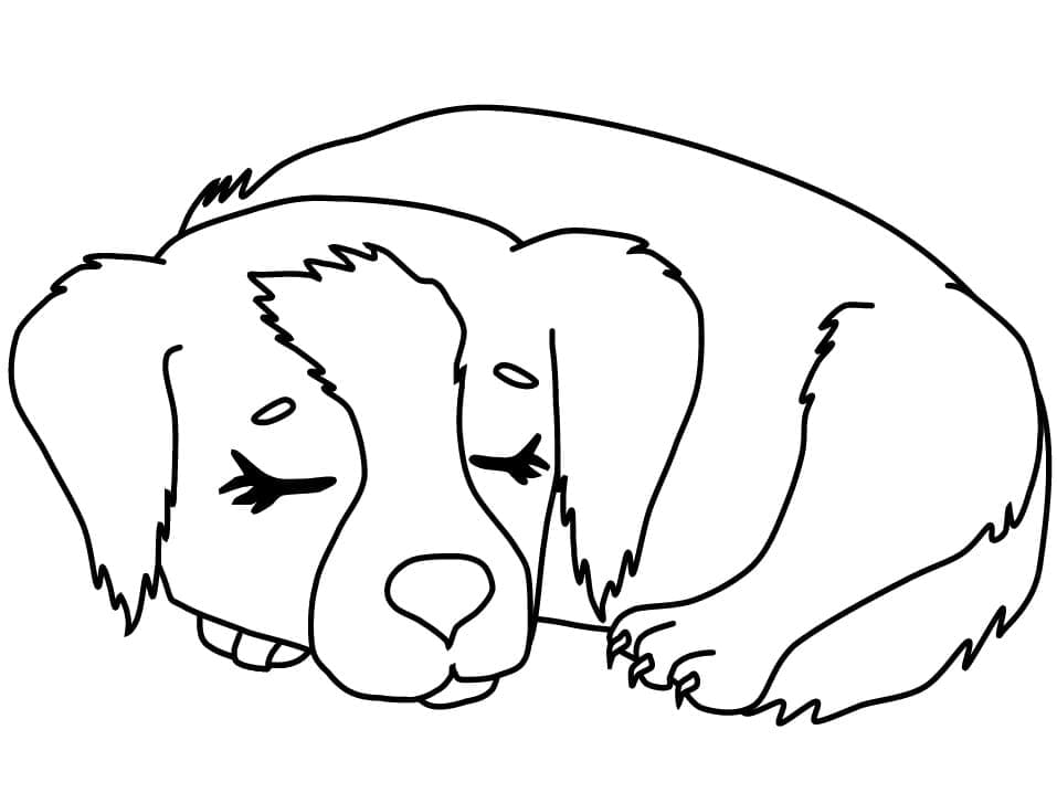 Desenho deCachorrinho Dormindo para colorir