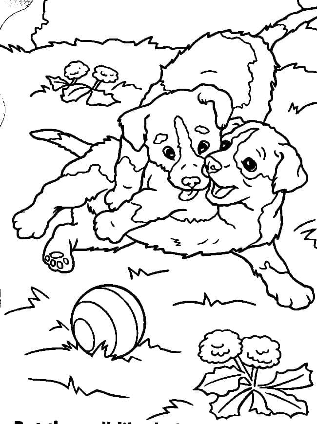 Desenho deCachorrinho Felizes para colorir