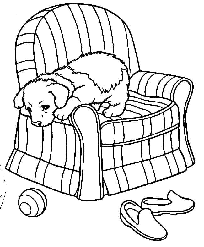 Desenho deCachorrinho no Sofá para colorir