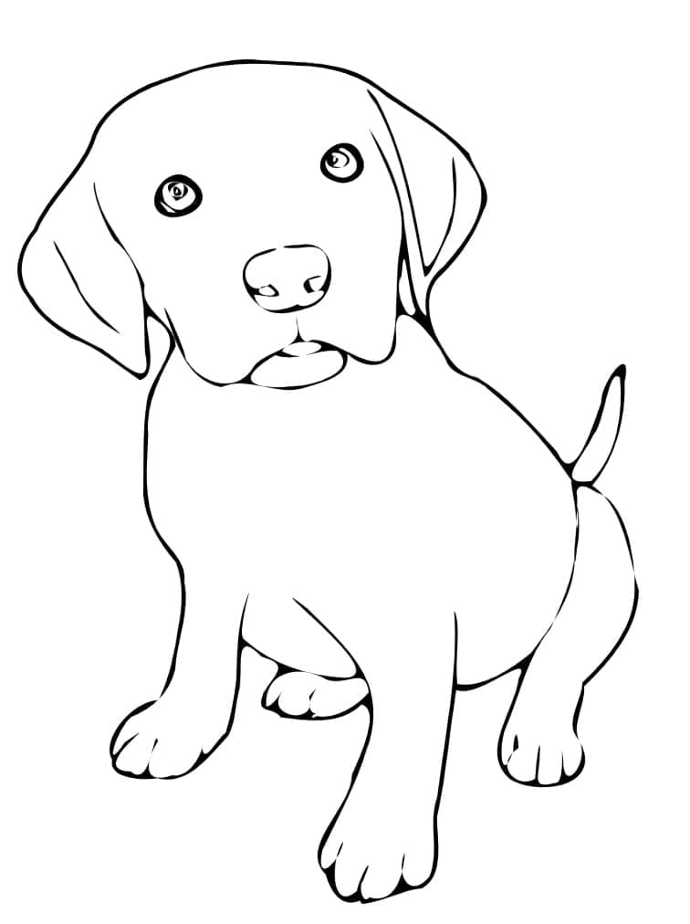 Desenho deCachorrinho Normal para colorir