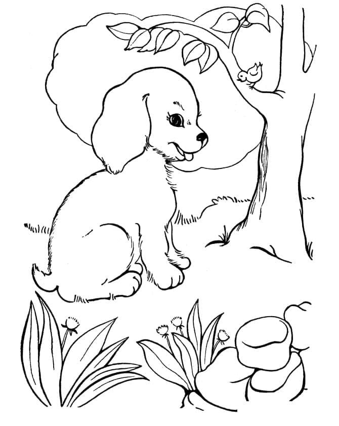 Desenho deCachorrinho Para Crianças para colorir