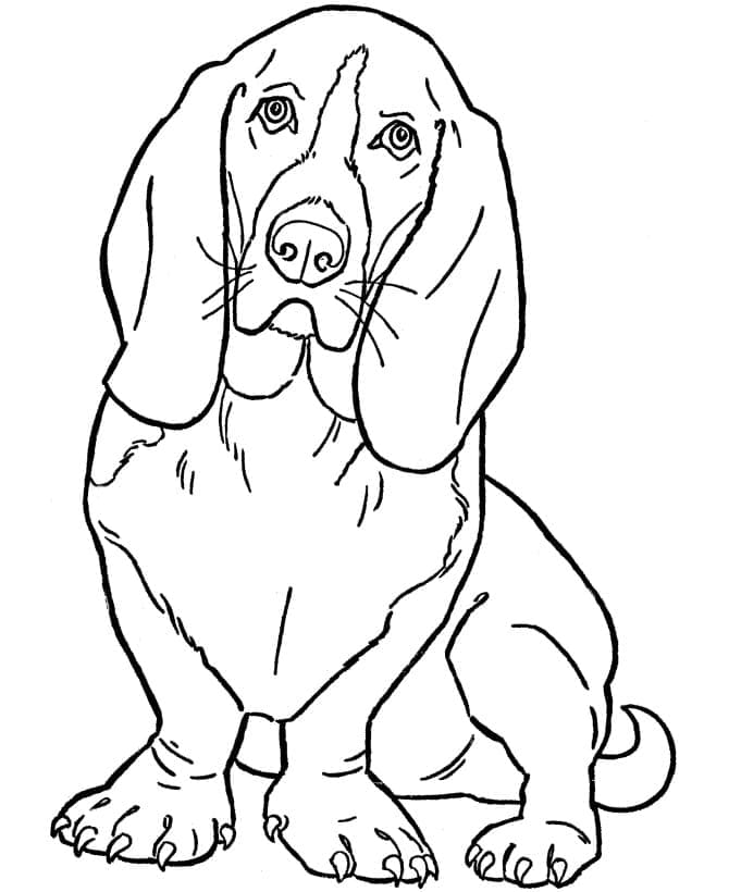 Desenhos de Cachorros Beagles para colorir