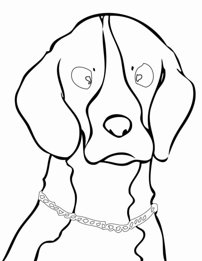 Desenho deCachorro Beagle Curioso para colorir