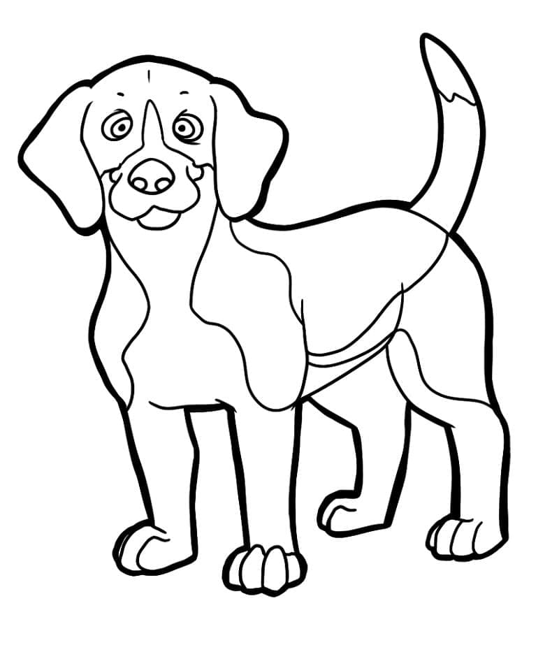 Desenho deCachorro Beagle de Desenho Animado para colorir