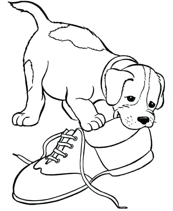 Desenho deCachorro Beagle e um Sapato para colorir