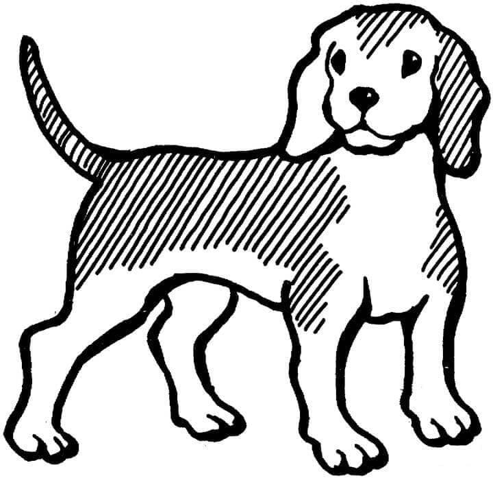 Desenho deCachorro Beagle Para Crianças para colorir