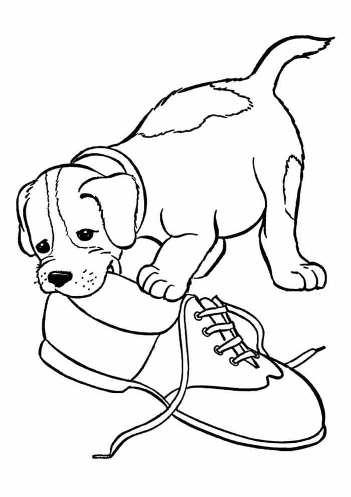 Desenho de Cachorro Mastiga Sapato para colorir