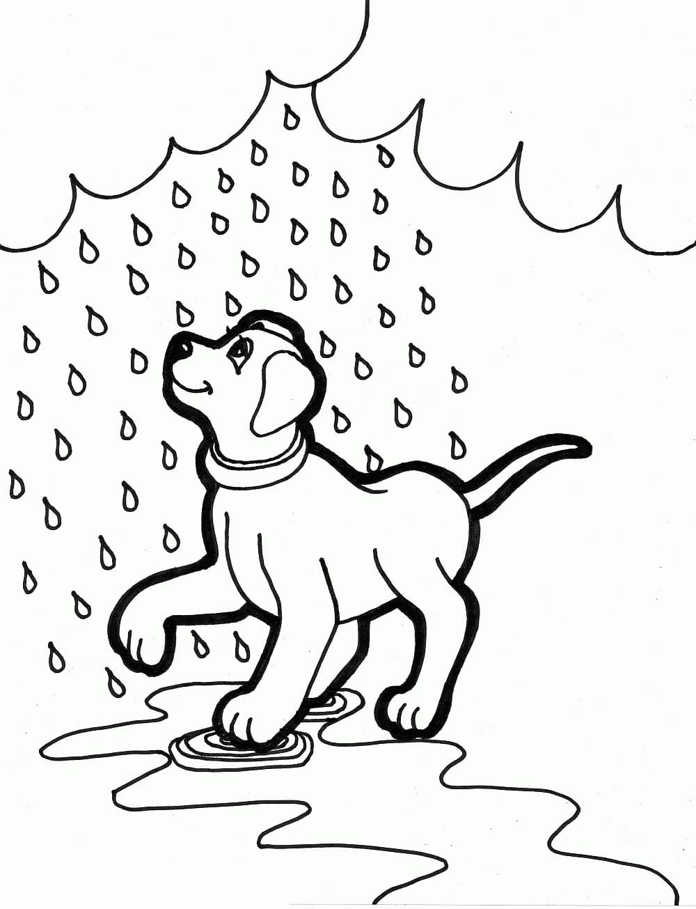 Desenho deCachorro na Chuva para colorir