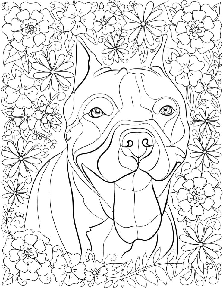 Desenho deCachorro Pitbull Feliz para colorir