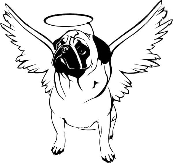 Desenho deCachorro Pug com Asas para colorir para colorir