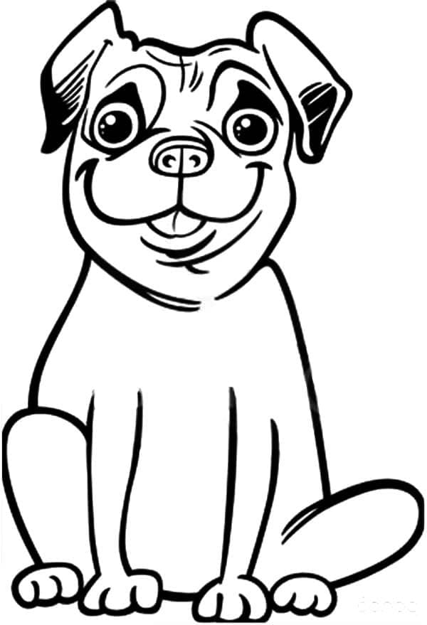 Desenho deCachorro Pug Feliz para colorir