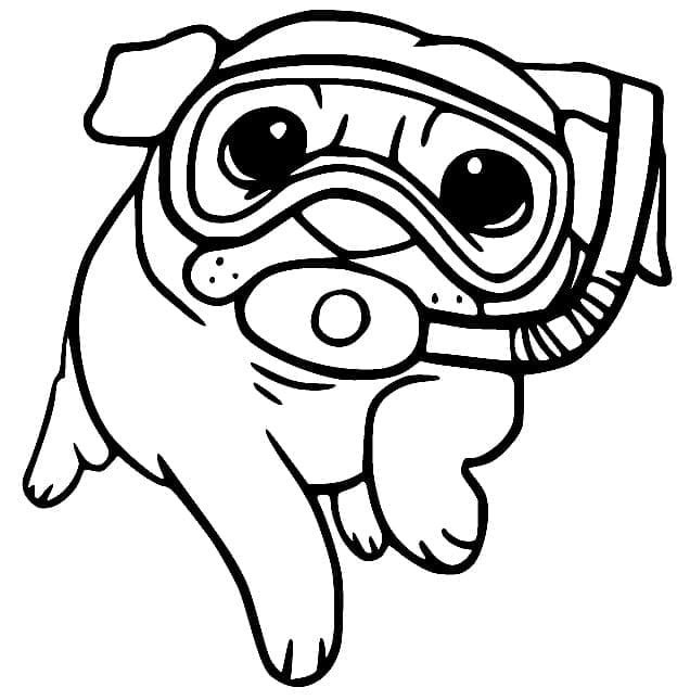 Desenho deCachorro Pug Grátis Para Crianças para colorir