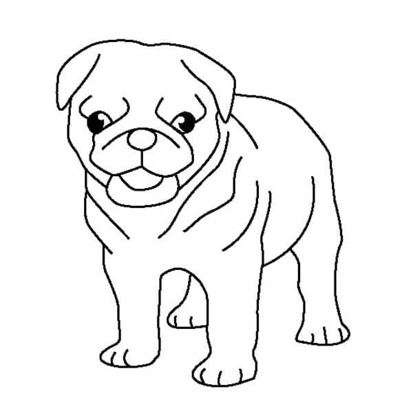 Desenho deCachorro Pug Simples para colorir