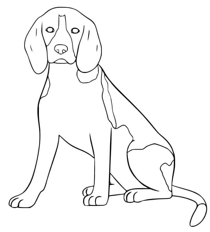 Desenho deCão Beagle Sorridente para colorir