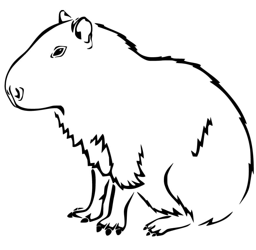 Desenho deCapivara Facil para colorir