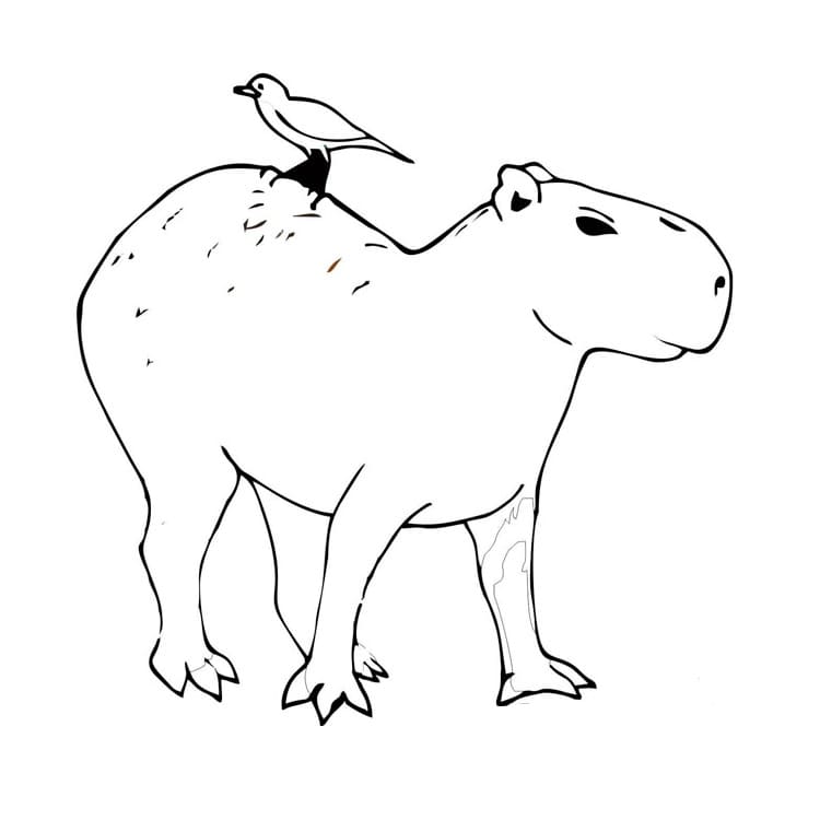 Desenho deCapivara Grátis para colorir