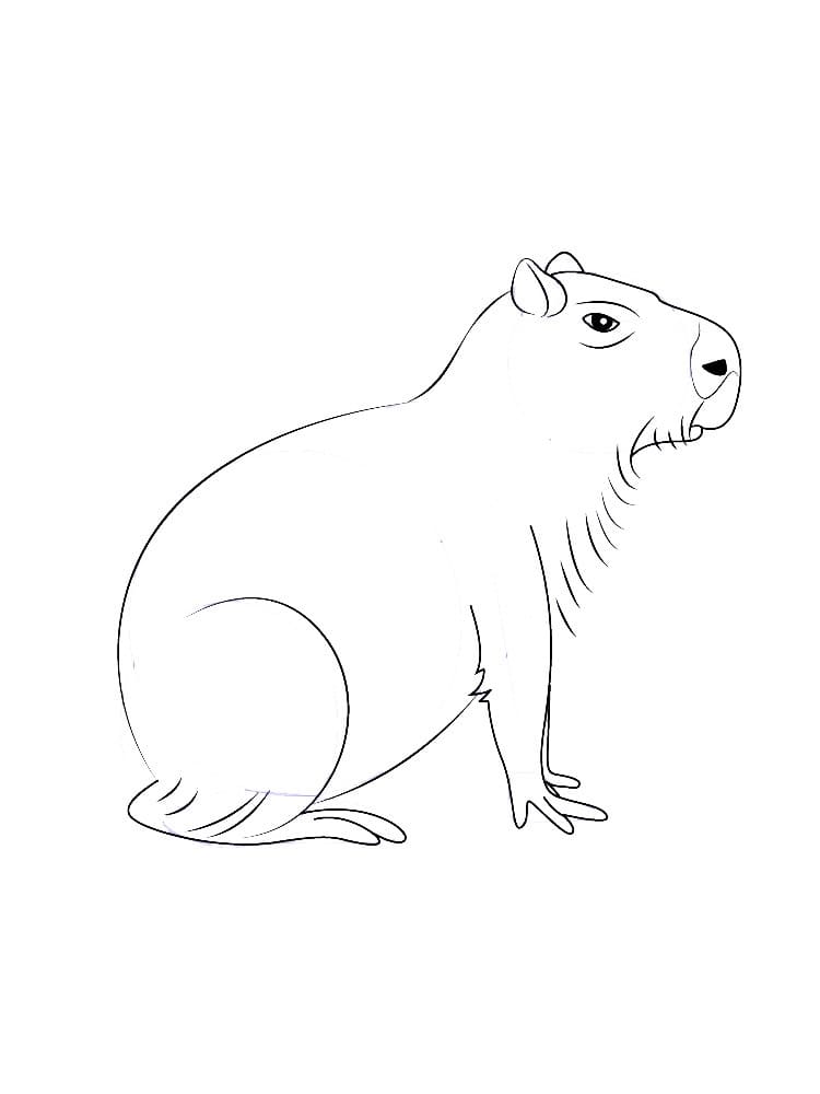 Desenho deCapivara Para Crianças para colorir