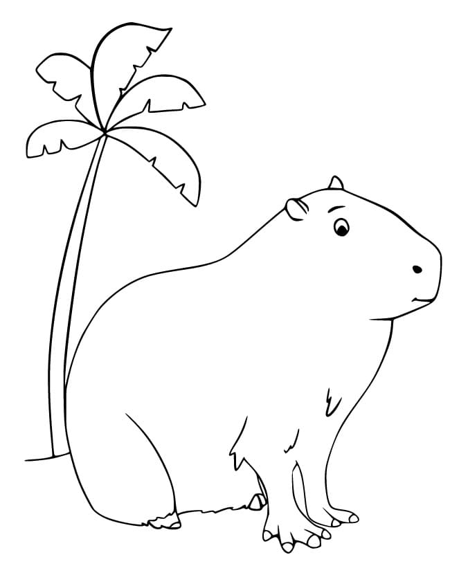 Desenho deCapivara Sentada para colorir