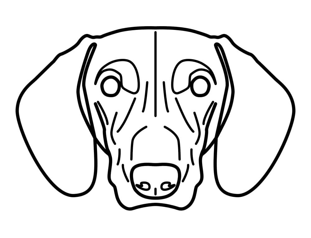 Desenho de Cara de Dachshund para colorir