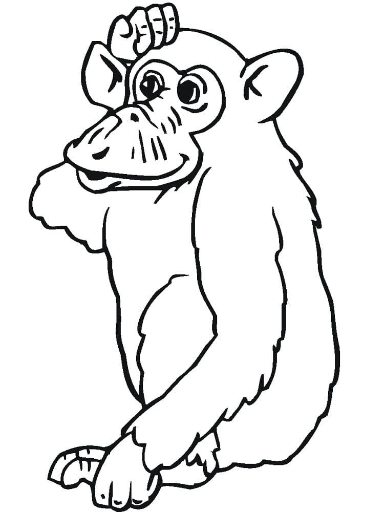 Desenho deChimpanzé Curioso para colorir